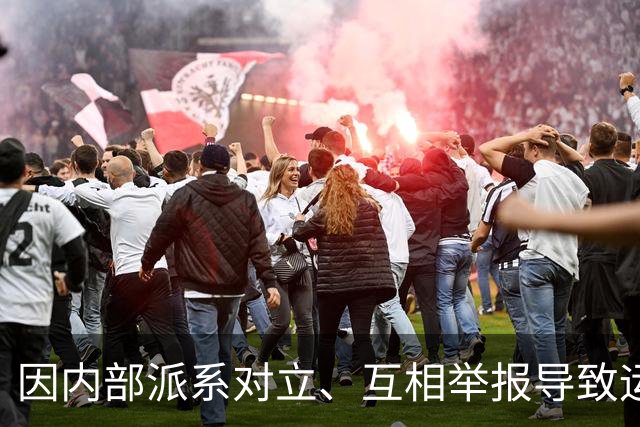 因内部派系对立、互相举报导致运转失灵，内蒙古诗词学会被限期停止活动