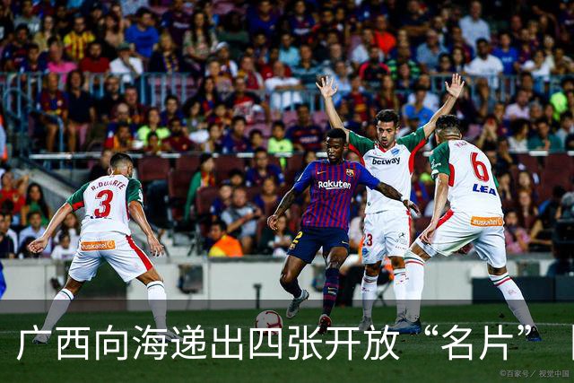 广西向海递出四张开放“名片”丨活力中国调研行