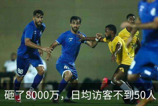 砸了8000万，日均访客不到50人，如今被法拍：西安艺术馆们的困境